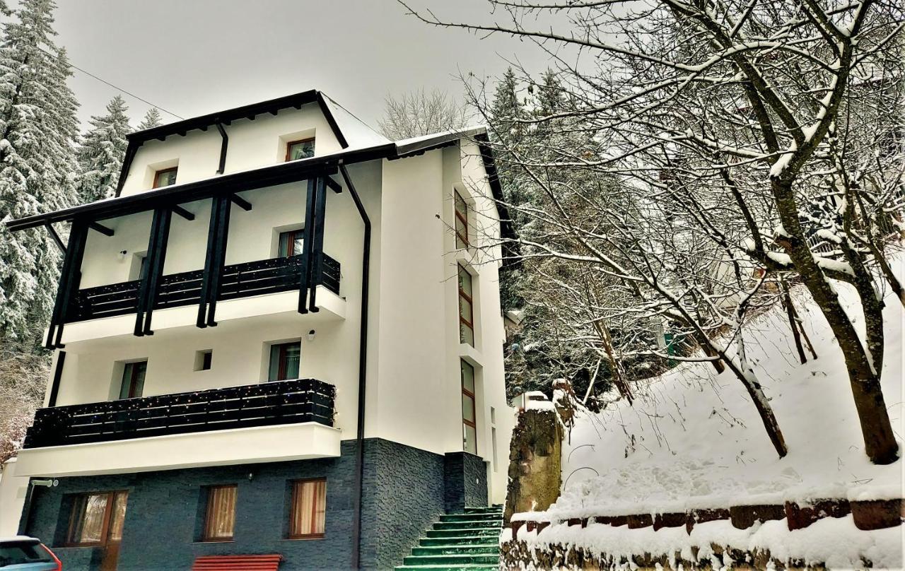 Family Treez Premium Apartments ポイアナ・ブラショフ エクステリア 写真