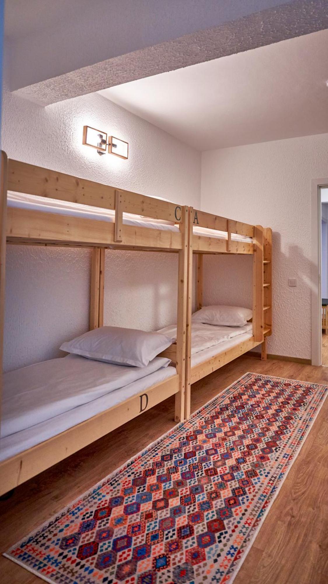 Family Treez Premium Apartments ポイアナ・ブラショフ エクステリア 写真