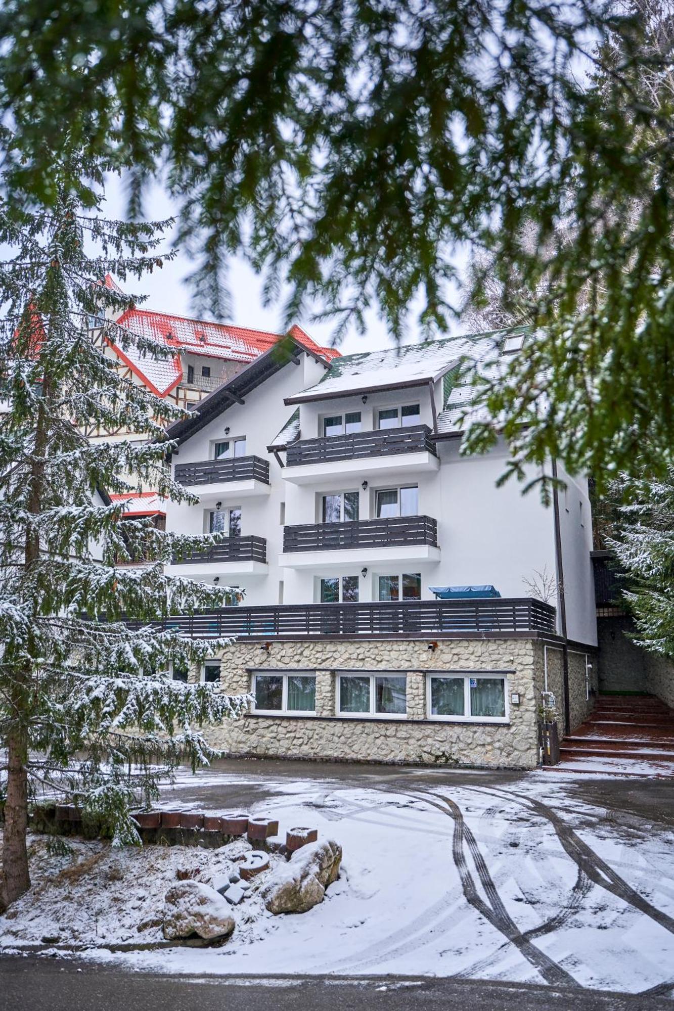Family Treez Premium Apartments ポイアナ・ブラショフ エクステリア 写真